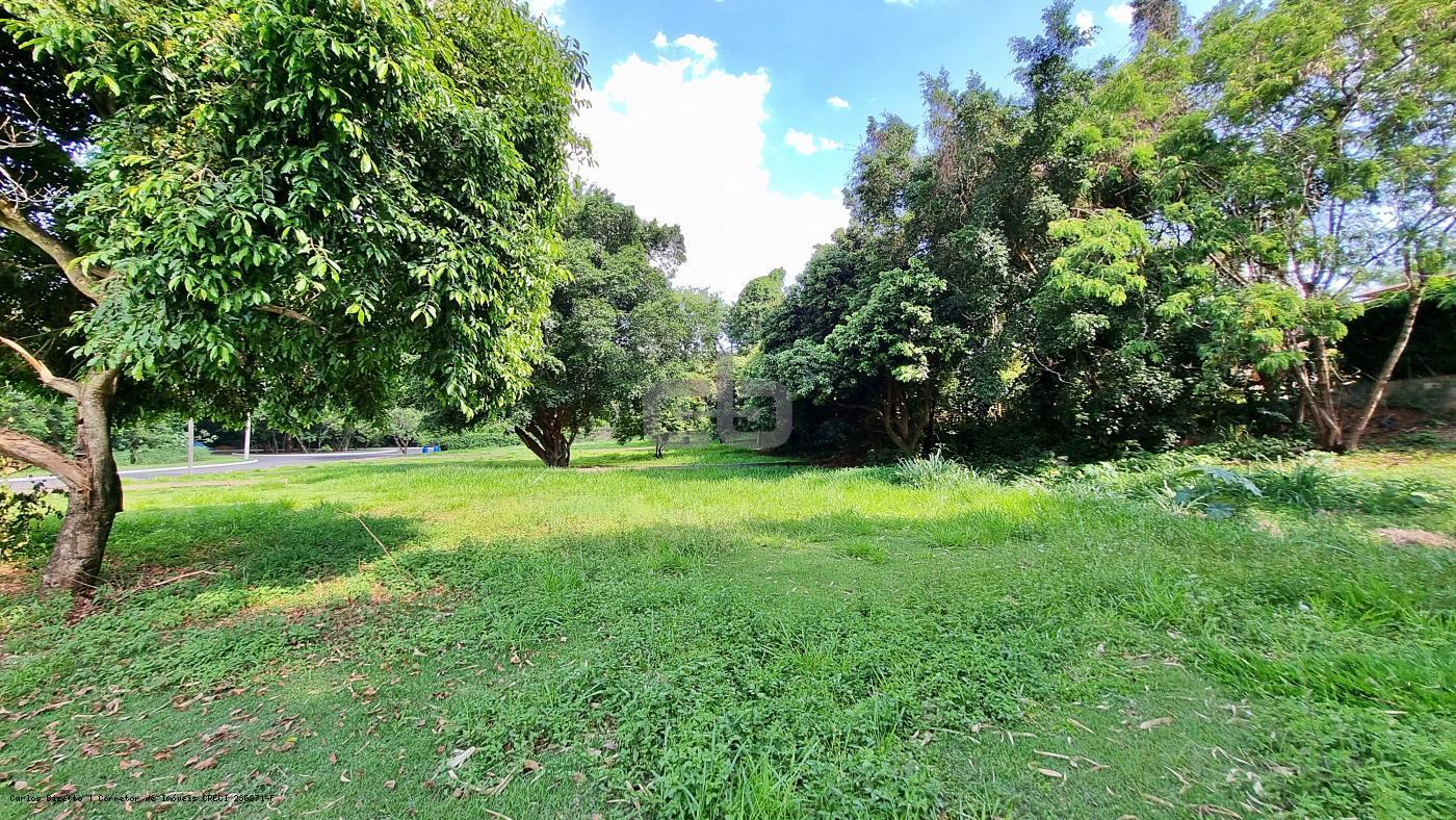 Terreno, 1145 m² - Foto 5