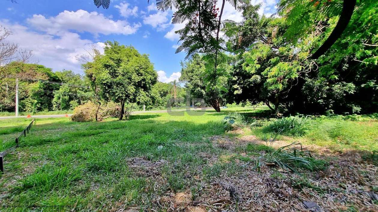 Terreno, 1145 m² - Foto 6