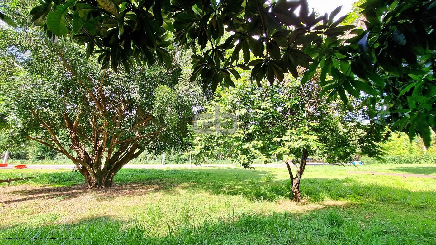 Terreno, 1145 m² - Foto 7