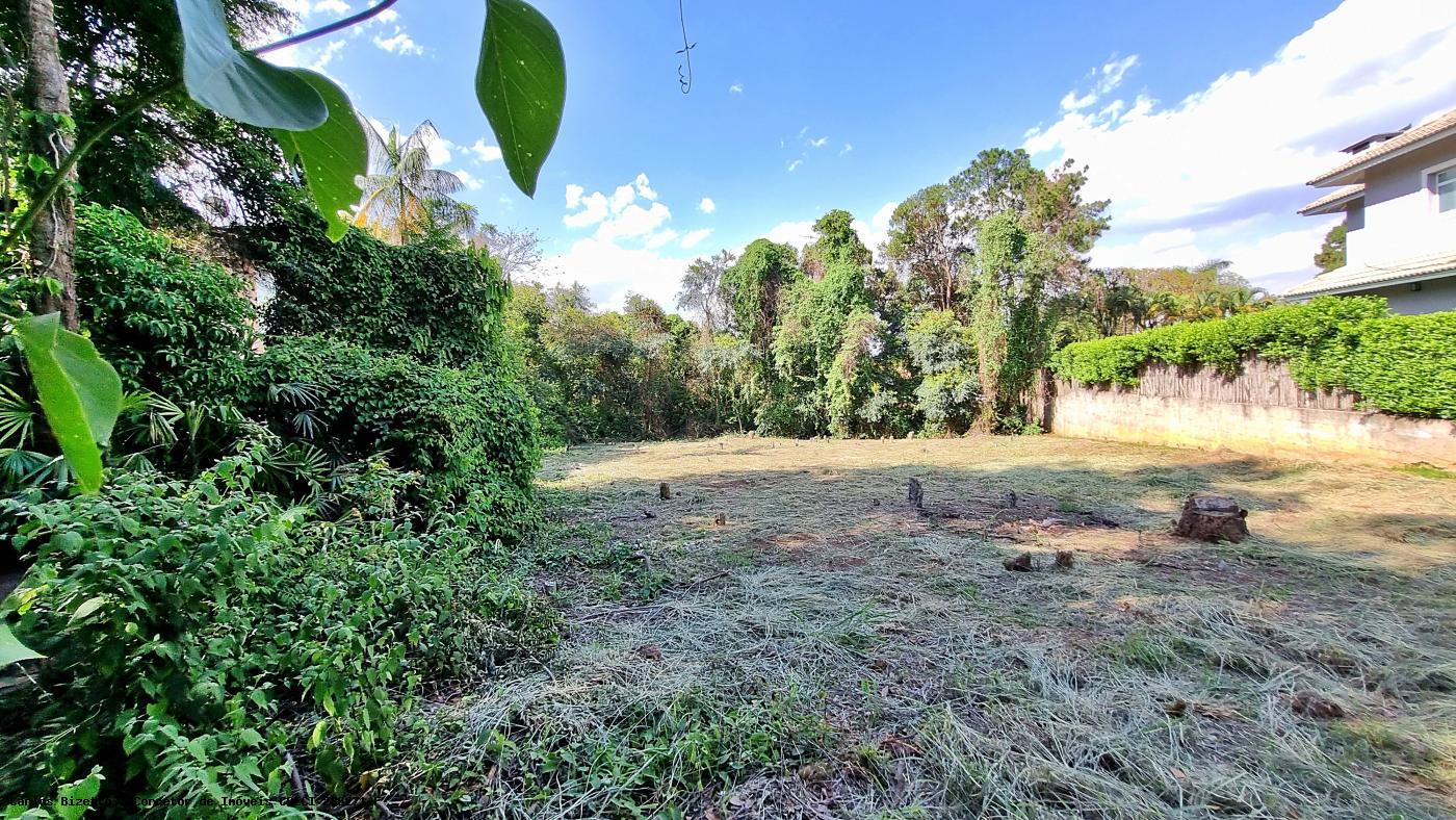 Terreno, 1579 m² - Foto 2